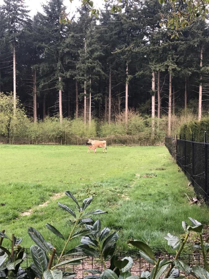 Bij Zelle Acomodação com café da manhã Garderen Exterior foto
